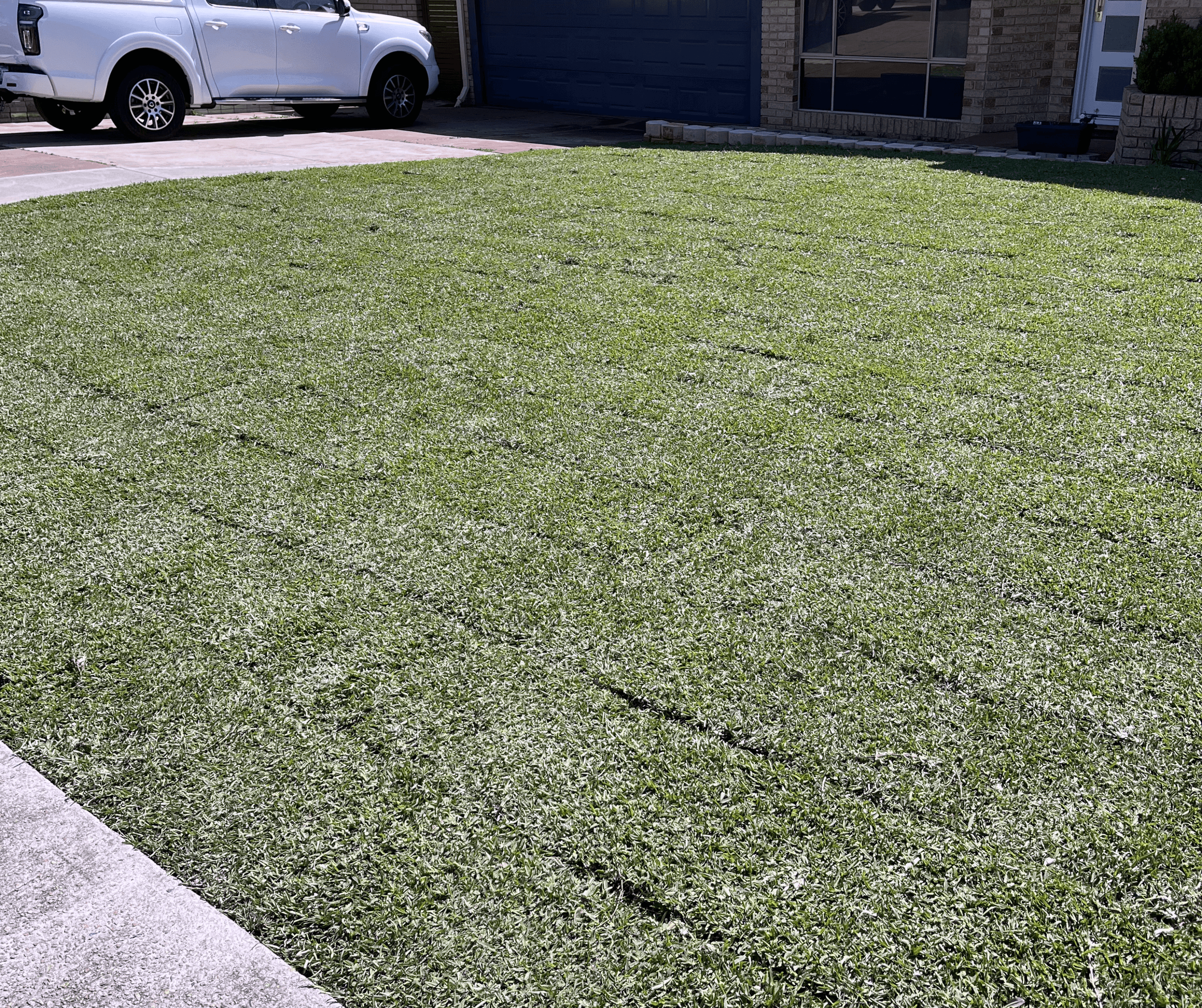 Freshly laid natural turf across a front yard beside a driveway